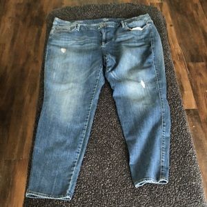 Anna Size 22W Jeans